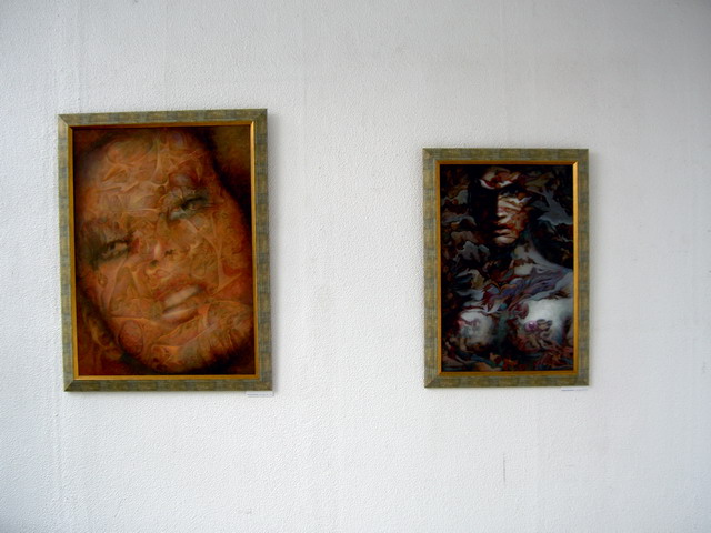 FLORIN GHERGU - Imagini din expozitie 2008
